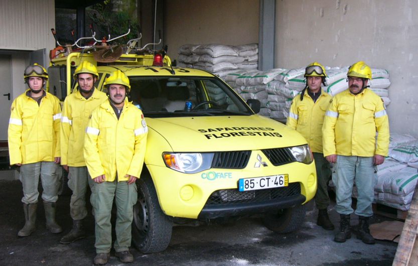 Sapadores Florestais